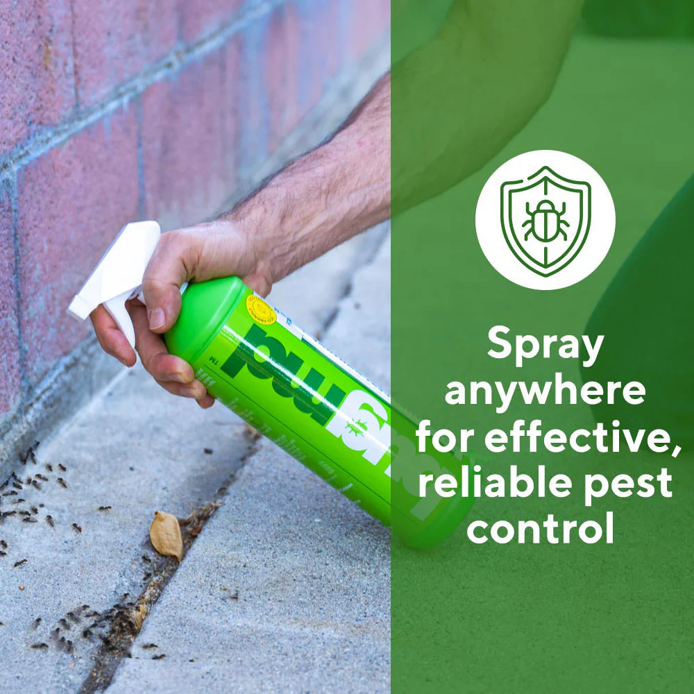 Bed Bug, Roach, Ant Killer Spray | Pest Control Concentrate - Image 3