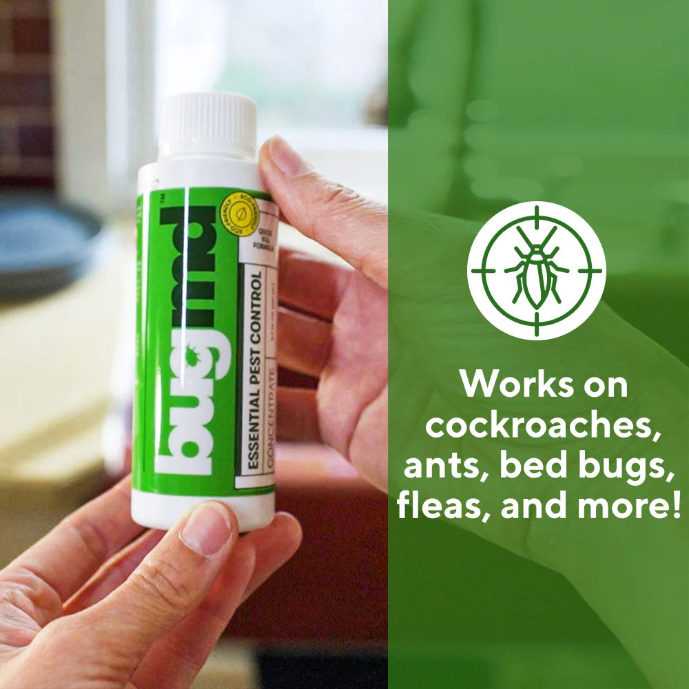 Bed Bug, Roach, Ant Killer Spray | Pest Control Concentrate - Image 5