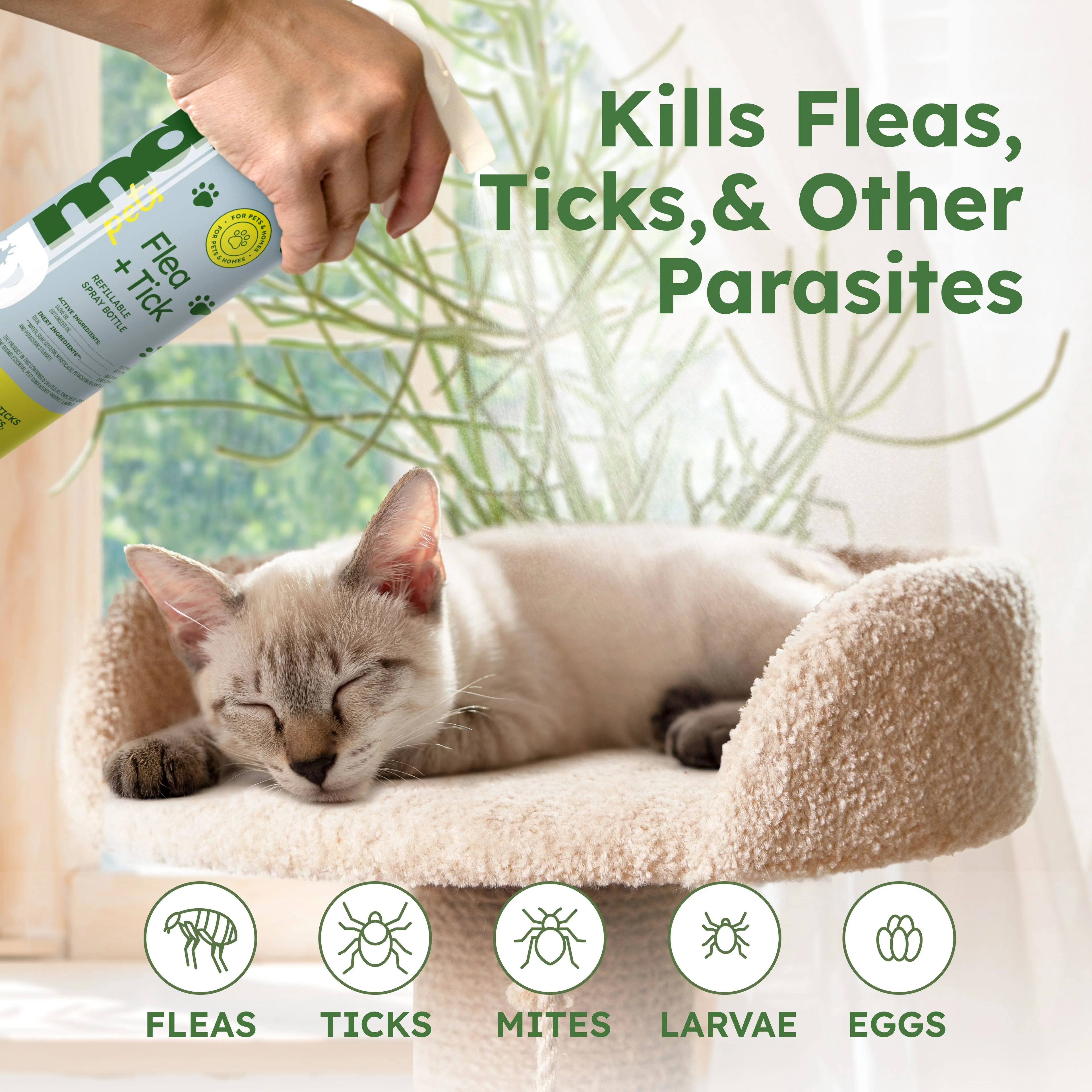 Flea and Tick Concentrate - Image 3